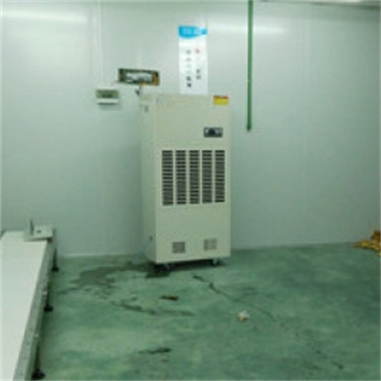 解決室內(nèi)泳池潮濕問題的泳池除濕設(shè)備