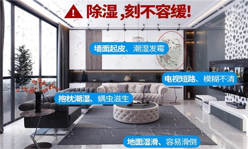 未來的除濕機將帶來更舒適的生活體驗 未來的除濕機將帶來更舒適的生活體驗