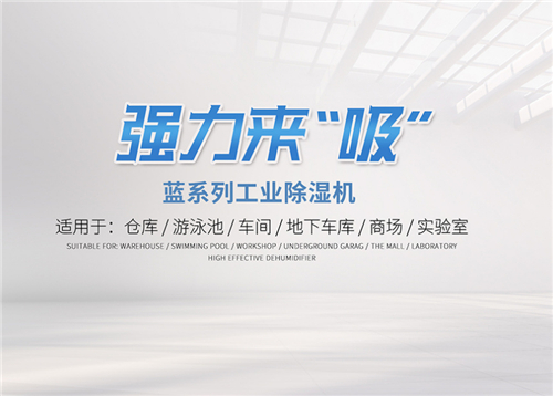 使用空氣除濕機(jī)來解決地下室潮濕問題 使用空氣除濕機(jī)來解決地下室潮濕問題