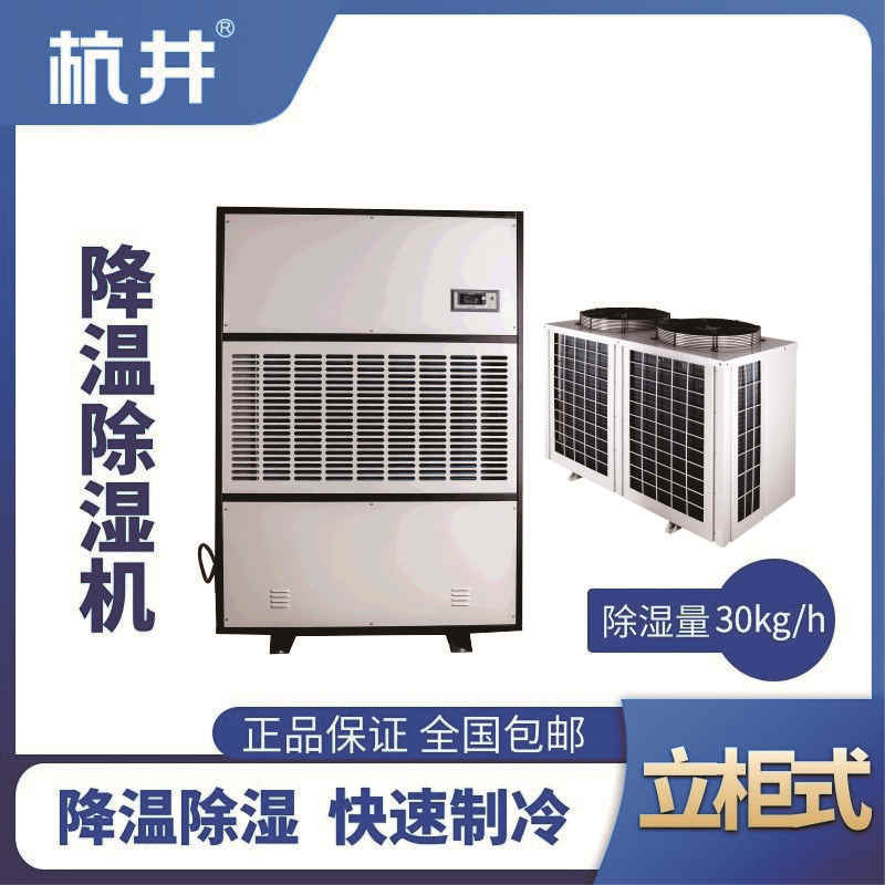 CFJZF30S風(fēng)冷調(diào)溫除濕空調(diào)機組