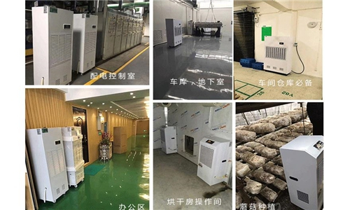 根雕材料倉(cāng)庫(kù)對(duì)濕度的要求 根雕材料倉(cāng)庫(kù)對(duì)濕度的要求