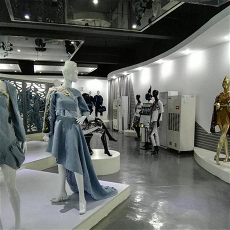 東西湖區(qū)梅雨天除濕方案設(shè)計(jì)-抽濕器 東西湖區(qū)梅雨天除濕方案設(shè)計(jì)-抽濕器