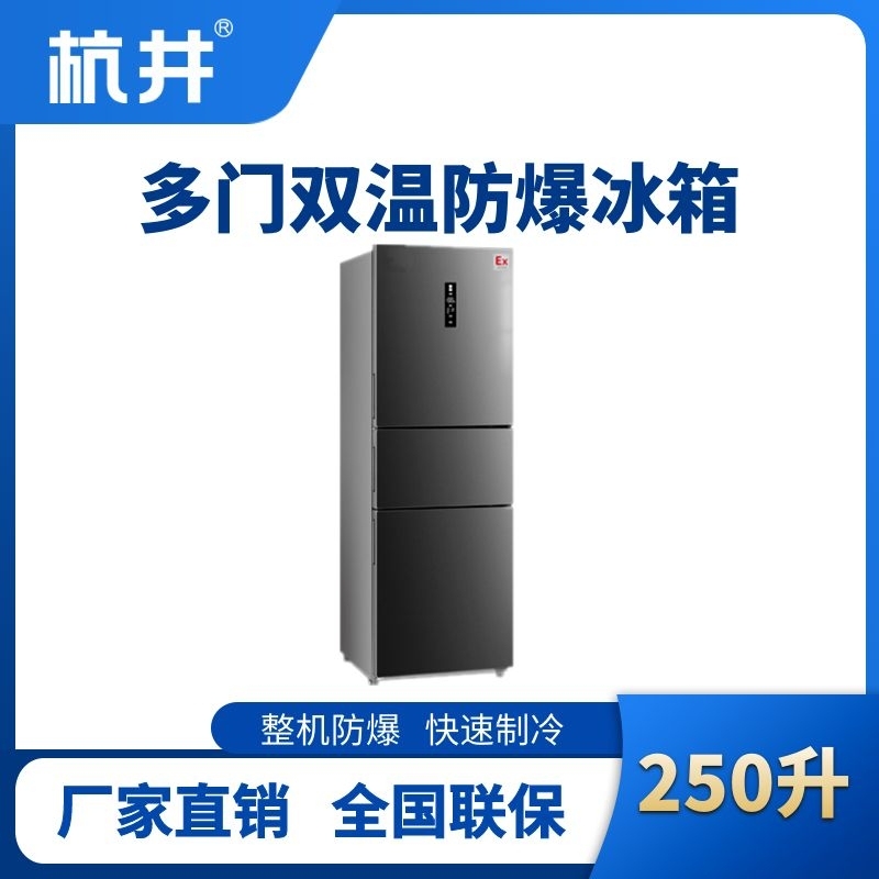 BL-300(DM250L) 250升三開門防爆冰箱